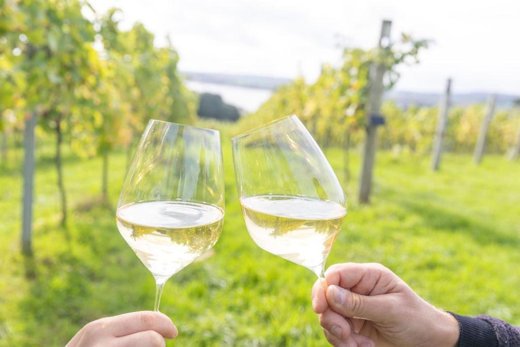 Lympstone Manor Hotel Restaurant & Vineyard - Relais & Chateaux Exmouth Buitenkant foto