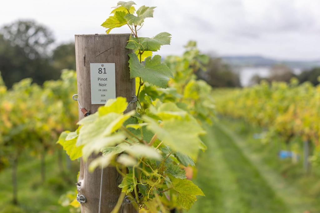 Lympstone Manor Hotel Restaurant & Vineyard - Relais & Chateaux Exmouth Buitenkant foto