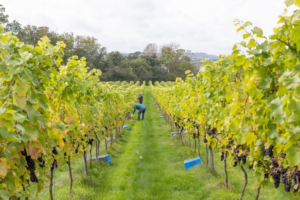 Lympstone Manor Hotel Restaurant & Vineyard - Relais & Chateaux Exmouth Buitenkant foto