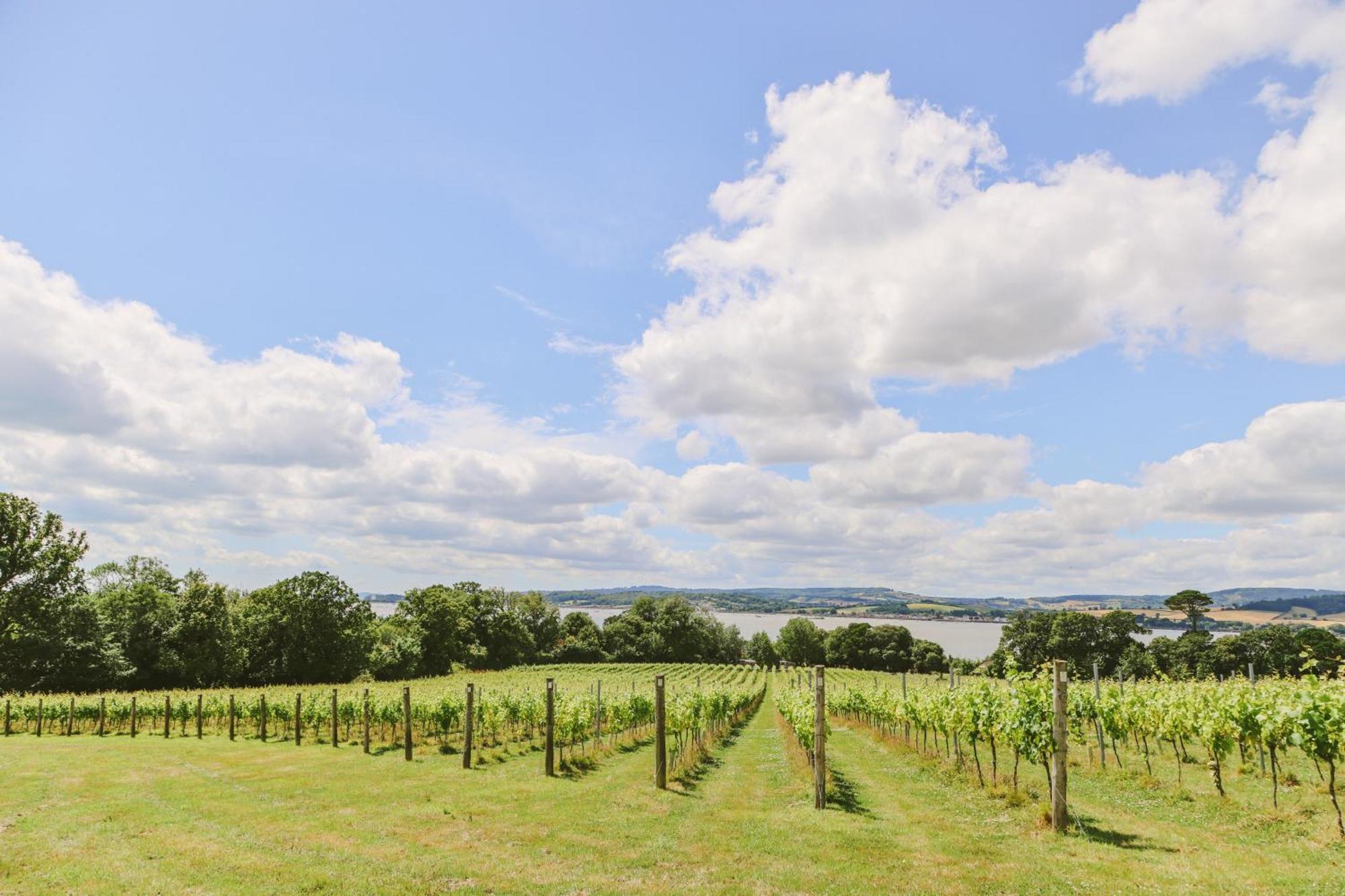 Lympstone Manor Hotel Restaurant & Vineyard - Relais & Chateaux Exmouth Buitenkant foto