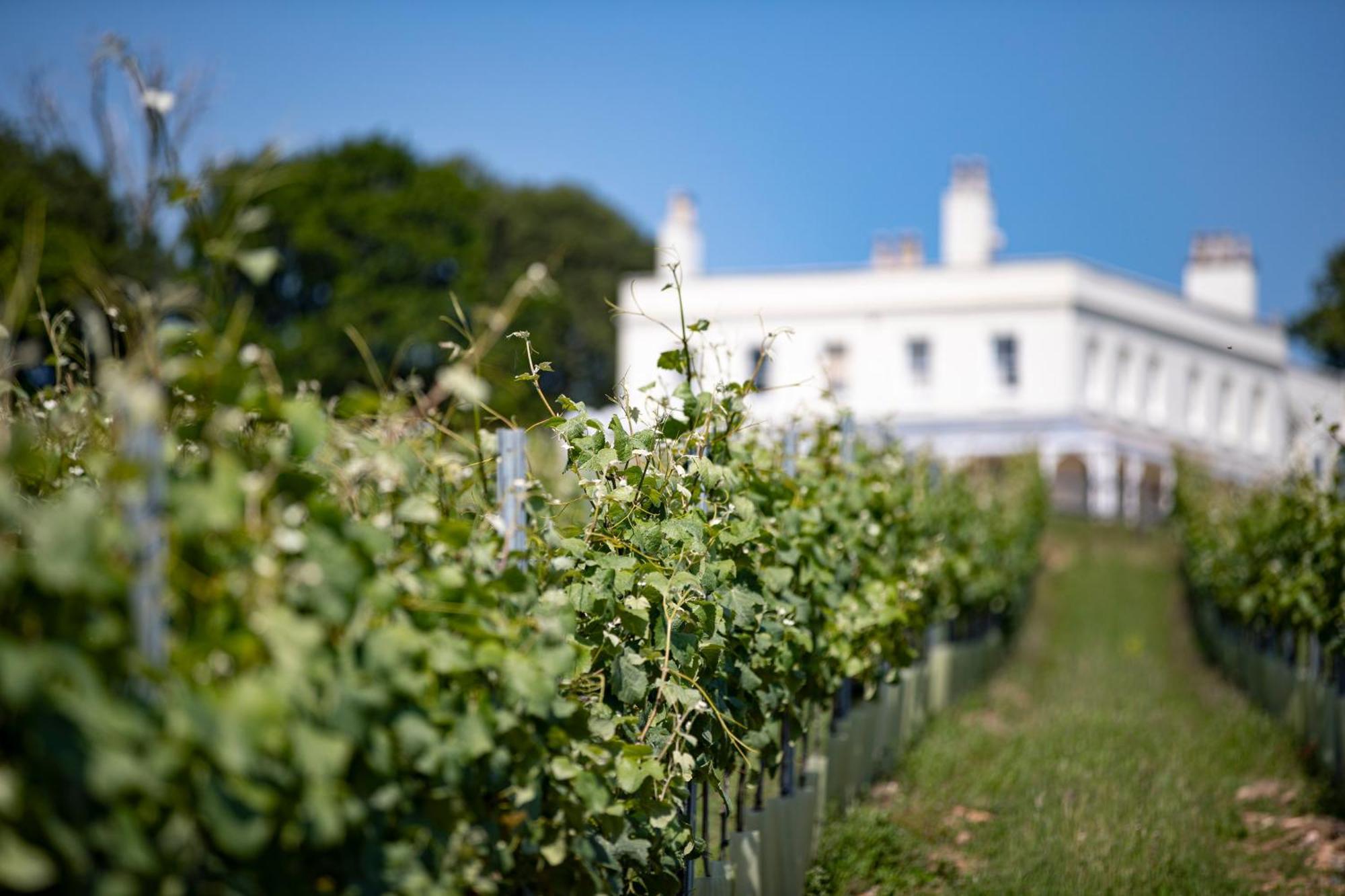 Lympstone Manor Hotel Restaurant & Vineyard - Relais & Chateaux Exmouth Buitenkant foto