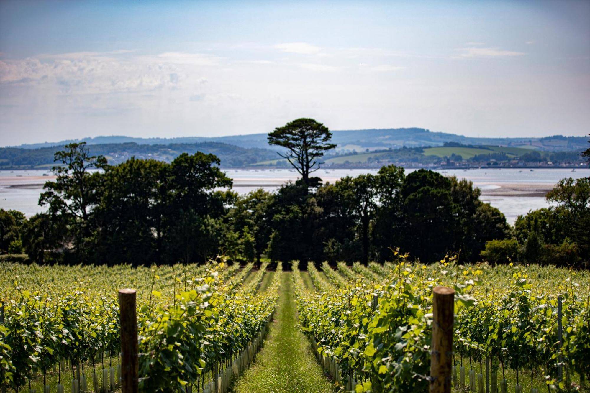 Lympstone Manor Hotel Restaurant & Vineyard - Relais & Chateaux Exmouth Buitenkant foto