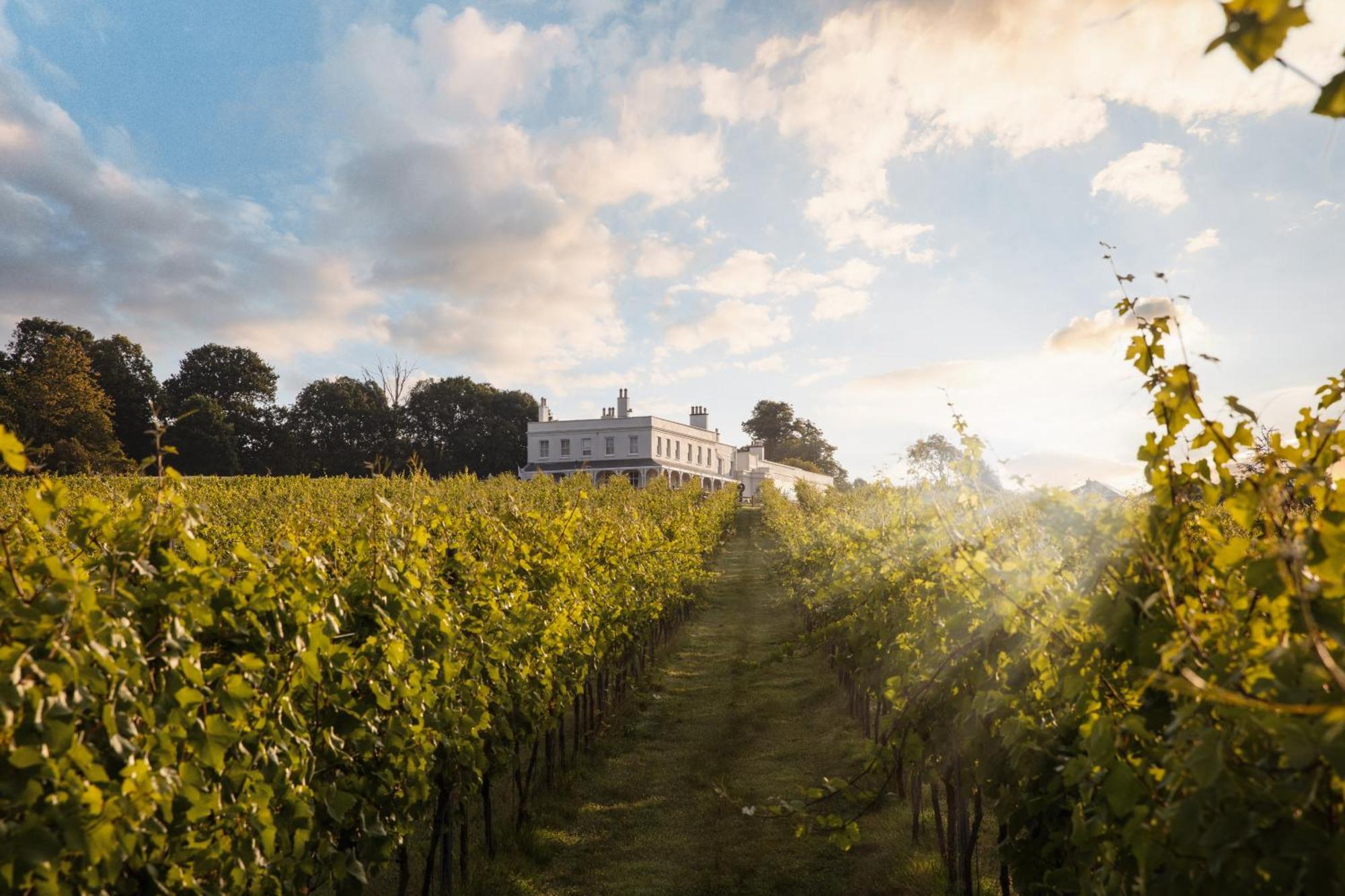 Lympstone Manor Hotel Restaurant & Vineyard - Relais & Chateaux Exmouth Buitenkant foto